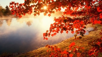 fall-leaves-hd-wallpapers-fall-leaves-hd-wallpaper-rainbow-wallpapers-1080p-for-mac-ipad-free-iphone-water-rain