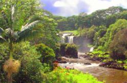 garden-of-eden-21359726