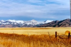 America-by-loveallpeopledotorg